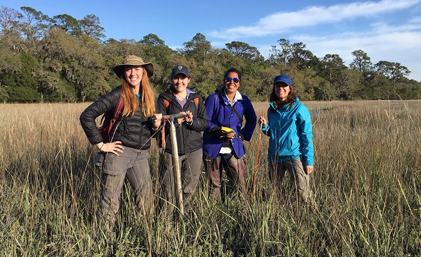 Students and a professor, who are part of the Center for Biodiversity and Ecosystem Stewardship, work in the field.