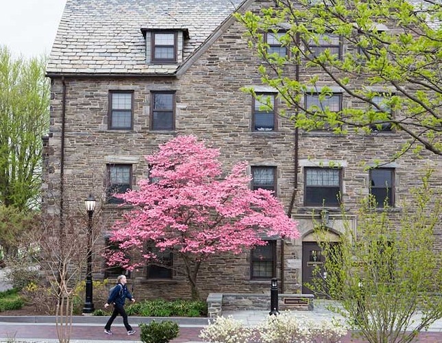 Exterior of side of Austin Hall showing tree with pink flowers